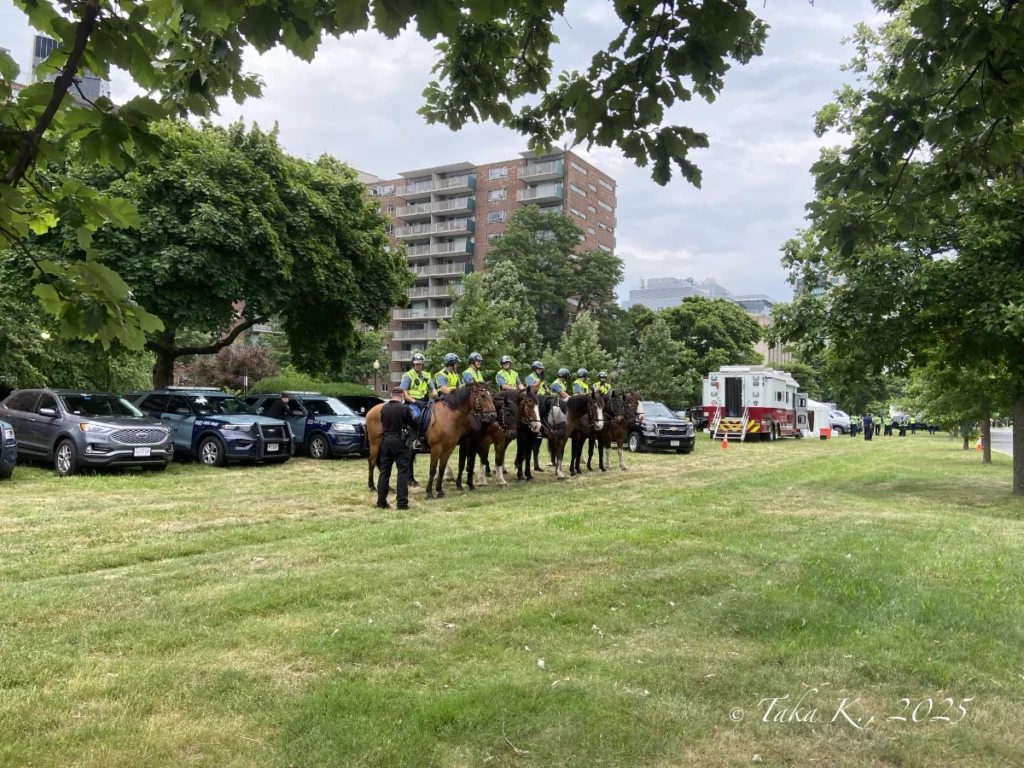 Boston Fireworks Cavalry